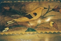 Foto 4: Spätbarock Holzschatulle, in Nußbaum, Intarsienarbeiten