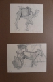 Foto 5: Rudolf Gudden (1863-1935): 6 x Blatt Tierstudien, Bleistift, Entstehungsort Marokko