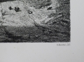 Foto 7: Auguste-Paul-Charles Anastasi (1820-1889): Graphik - Lithographie, Titel à Gourchelles (Normandie), nach Vorlage von Louise Girard, Frankreich