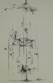 Foto 4: Marta Audino (* 1945): Graphik - Lithographie, Zirkuspferd, von 1980