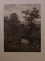 Foto 3: Wilhelm Krauskopf (1847-1921): 5 Graphiken - Radierungen, nach Gemälde-Vorlagen von Anselm Feuerbach, Adriaen van de Velde, Jusepe de Ribera