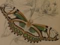 Foto 2: William Home Lizars (1788-1859): Paar Graphiken - kolorierte Stahlstichtafeln, Schmetterlinge, aus James Duncans The Natural History of Foreign Butterflies, von 1837 Edinburgh