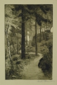 Foto 4: Martin Hönemann (1858-1937): 4 x Graphiken - Radierungen, Landschaften und Veduten