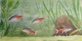Foto 1: Wilhelm Höpfner (1899-1968): Aquarell-Zeichnung, Fische