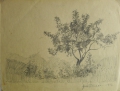 Foto 2: Fritz Pirner (* 1889): 4 Zeichnungen auf 3 Blättern, Tuschfeder und Bleistift, Landschaften, datiert 1917 und 1960