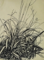 Foto 3: Fritz Pirner (* 1889): Graphik - Linolschnitt und 3 Tusche-Zeichnungen, Naturstudien mit Gräsern