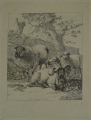Foto 1: Johann Andreas Boerner (1785-1862): Graphik - Radierung, Schaf-Studie, Nürnberg 1804 datiert