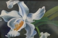 Foto 3: Öl Gemälde: Blumenstilleben - Orchidee, Ende 20. Jahrhundert