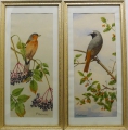 Foto 1: Friedrich Reimann (1896-1991): Pendants Aquarelle - Vogelstudien