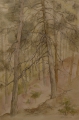 Otto Knöpfer (1911-1993): Aquarell, Landschaftsbild - Waldausschnitt, datiert 1982