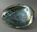 Foto 1: Muschel-Schale / Abalone / Seeopal / Seeohr