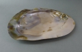 Muschel-Schale / Abalone / Seeopal / Seeohr / Visitenkarten-Schale