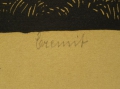 Foto 3: Augustin Kolb (1869-1943): Eremit, Graphik - Holzschnitt