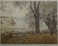Foto 1: Gertrud Stark (1884-1964): Landschaftsbild mit Weiden, signierte Graphik - Stich
