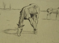 Foto 2: Walther Klemm (1883-1957): Pferde-Studie, signierte Graphik - Stich, um 1920