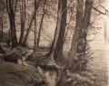Foto 1: Leo / Leopold Kayser (1868-1933): Darmstadt Fluß-Landschaft, signierte Graphik, datiert 1915 Berlin
