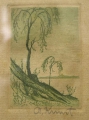 Adolf Kunst (1882 geboren): Exlibris, Graphik - Farbholzschnitt, Landschaft