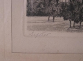 Foto 3: Signierte Graphik - Lithographie: Erfurt, Domplatz mit Dom und Severi-Kirche, um 1900
