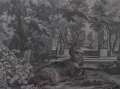Foto 2: Johann Elias Ridinger (1698-1767): Hirsch in Park, Graphik - Kupferstich, 18. Jahrhundert