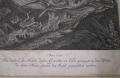 Foto 2: Johann Elias Ridinger (1698-1767): gejagter Hirsch, Barock Graphik - Kupfer-Stich, datiert 1741