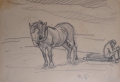 Rudolf Gudden (1863-1935): 8 x Zeichenblätter mit Studien zu Feldarbeitern / Stallansichten, Bleistift und Kohle