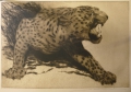 Kurt Mücke (1885-1940): Grafik - Radierung, Tierstudie - fauchender Leopard