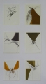 Gabriele Grosse (* 1942): 6er Satz Graphiken - Strichätzungen / Aquatinta, "Ohne Titel - Insekten", aus "Tapisserien" der "Bibliophilen Taschenbücher", datiert 1982