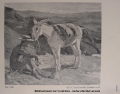 Foto 2: Rudolf Gudden (1863-1935): 8 x Blatt Tier-Studien / Gemälde-Vorstudie Rast, Bleistift