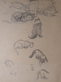 Foto 6: Rudolf Gudden (1863-1935): 8 x Blatt Tier-Studien / Gemälde-Vorstudie Rast, Bleistift