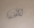 Foto 7: Rudolf Gudden (1863-1935): 8 x Blatt Tier-Studien / Gemälde-Vorstudie Rast, Bleistift