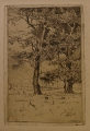 Hans Meyer: Graphik - Radierung, Baumstudie, datiert 1921