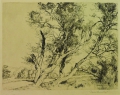 Bernard Schumacher (1872-1932): Graphik - Radierung, "Baumgruppe", datiert 1921