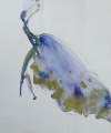 Foto 6: Annemarie Strupat: 6er Satz Zeichnungen - Tuschfeder und Aquarelle, Studien zu Afrika / Japan / Varieté-Kostümen, Mitte 20. Jahrhundert