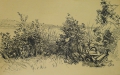 Foto 1: Fritz Pirner (* 1889): 4er Satz Handzeichnungen - in schwarzer Tusche und Kugelschreiber, Wald- und Wiesen-Landschaften, datiert 1942