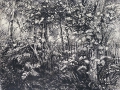 Foto 3: Fritz Pirner (* 1889): 4er Satz Handzeichnungen - in schwarzer Tusche und Kugelschreiber, Wald- und Wiesen-Landschaften, datiert 1942