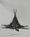Foto 1: Claus Weidensdorfer (* 1931): Graphik - Lithographie, Ohne Titel - Taube, Druck von 1990