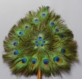 Foto 2: Pfauenfeder-Fächer, 20. Jahrhundert