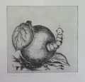 Foto 1: Anke Stöckel: Graphik - Radierung, Apfel mit Wurm, datiert 1998, Stadtroda